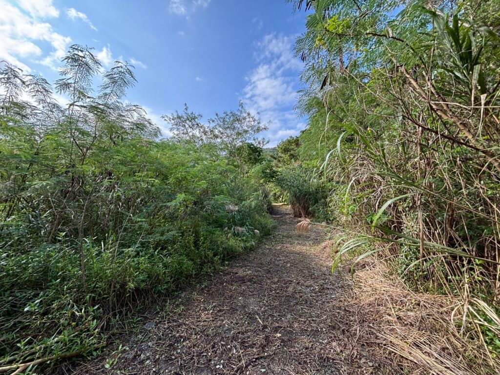 売地 画像4 売地 画像4