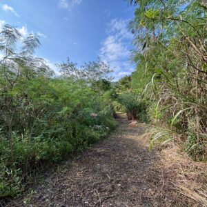 売地 画像4 売地 画像4