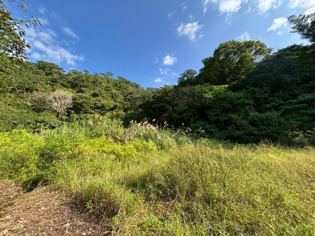 売地 画像5 売地 画像5