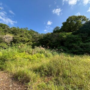 売地 画像5 売地 画像5