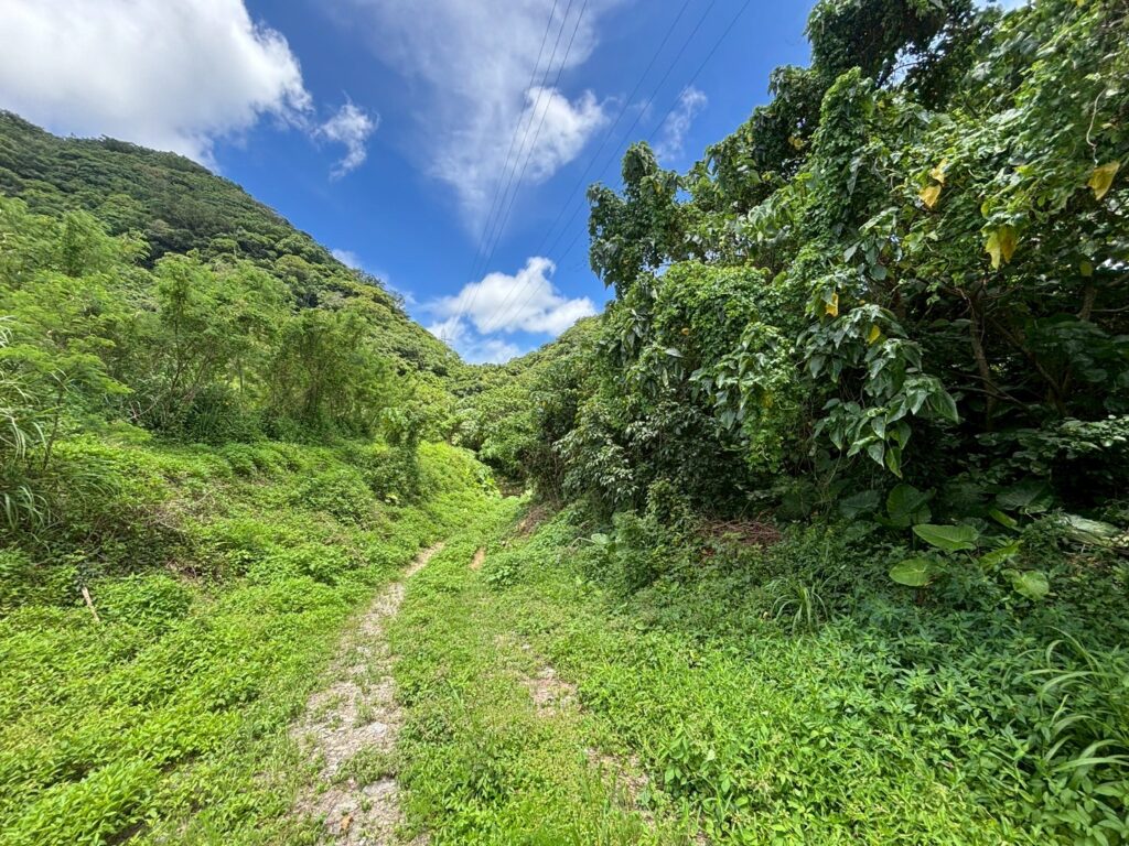 売土地 画像2
