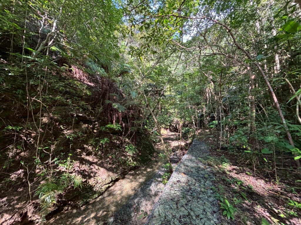 売地 画像6 売地 画像6