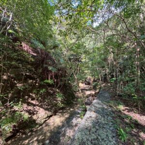 売地 画像6 売地 画像6