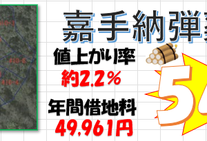 軍用地 画像3