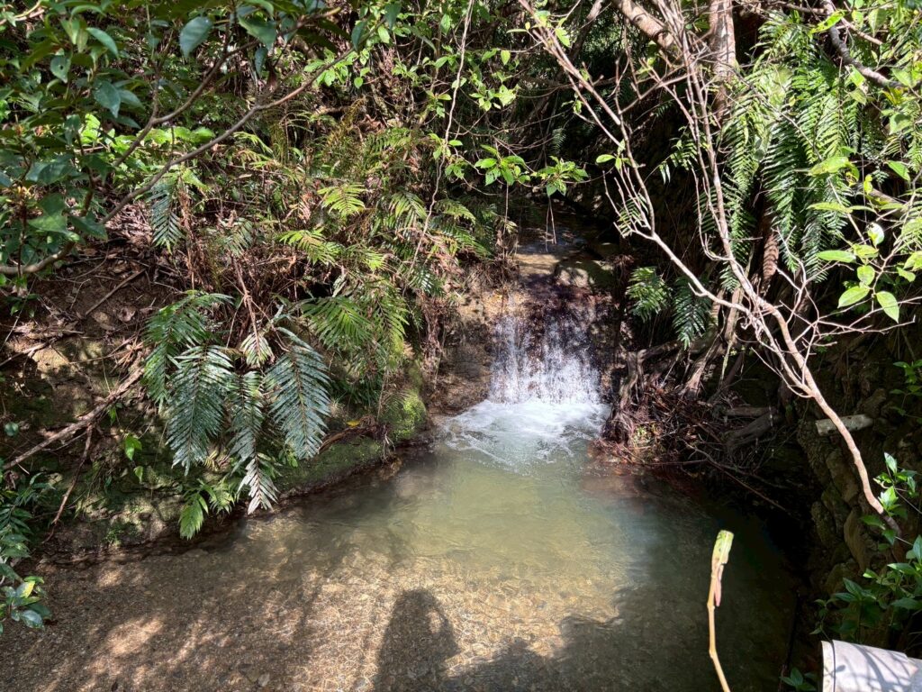 売地 画像8 売地 画像8