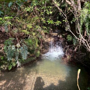 売地 画像8 売地 画像8