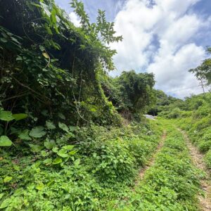 売土地 画像4