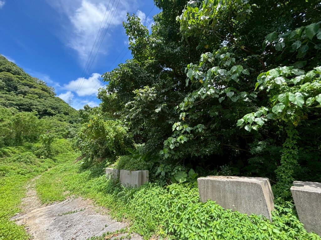 売土地 画像3