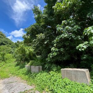 売土地 画像3