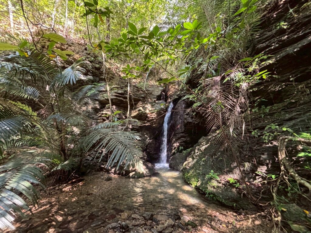 売地 画像7 売地 画像7