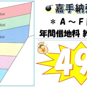 軍用地 画像2