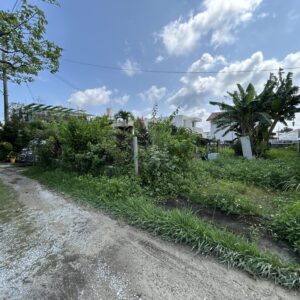 売地 画像3