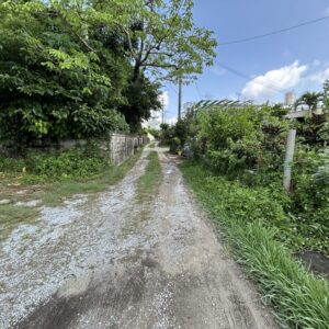 売地 画像9