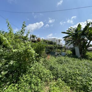 売地 画像6