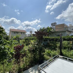 売地 画像8