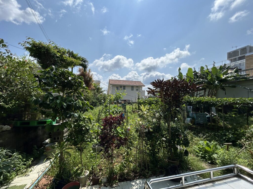 売地 画像7