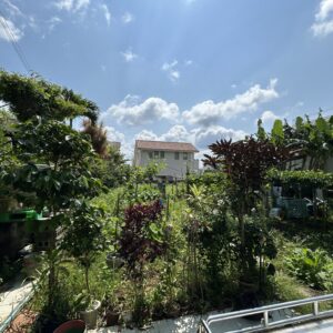 売地 画像7